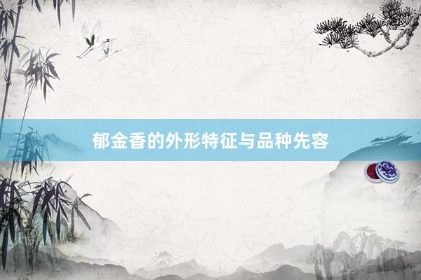 郁金香的外形特征与品种先容