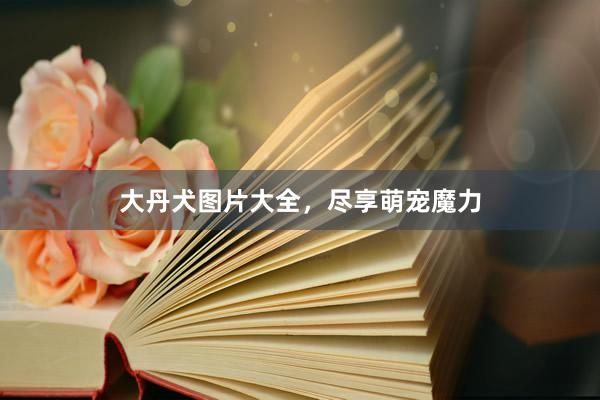 大丹犬图片大全,尽享萌宠魔力