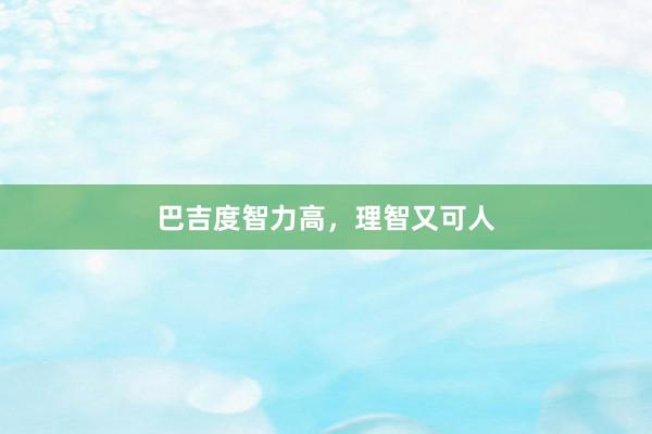 巴吉度智力高，理智又可人