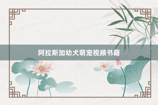 阿拉斯加幼犬萌宠视频书籍