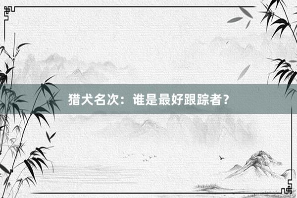 猎犬名次：谁是最好跟踪者？
