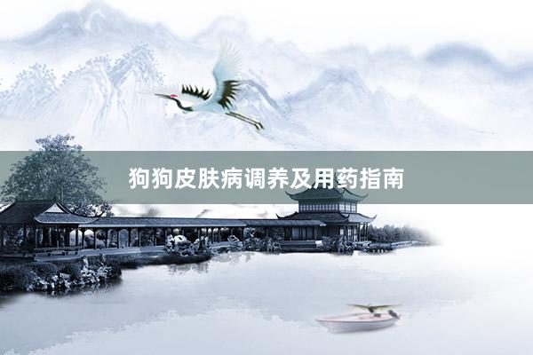 狗狗皮肤病调养及用药指南